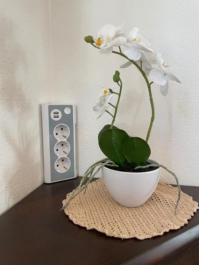 Haus Wittig Apartment Sankt Ulrich am Pillersee Luaran gambar