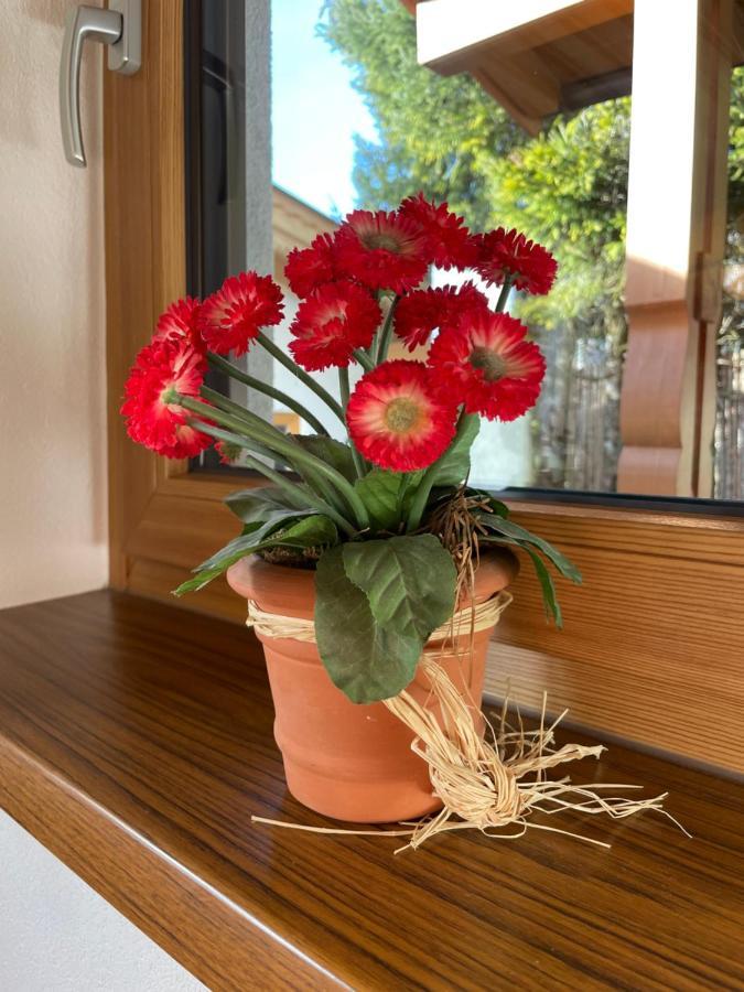 Haus Wittig Apartment Sankt Ulrich am Pillersee Luaran gambar